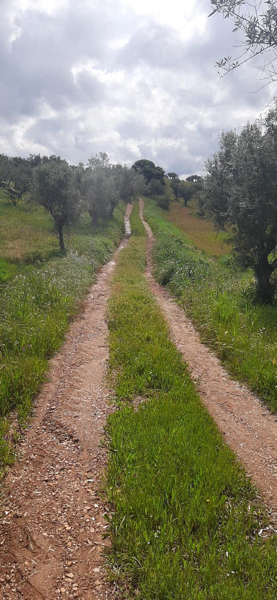 Отель Monte Da Luz Алкева Экстерьер фото