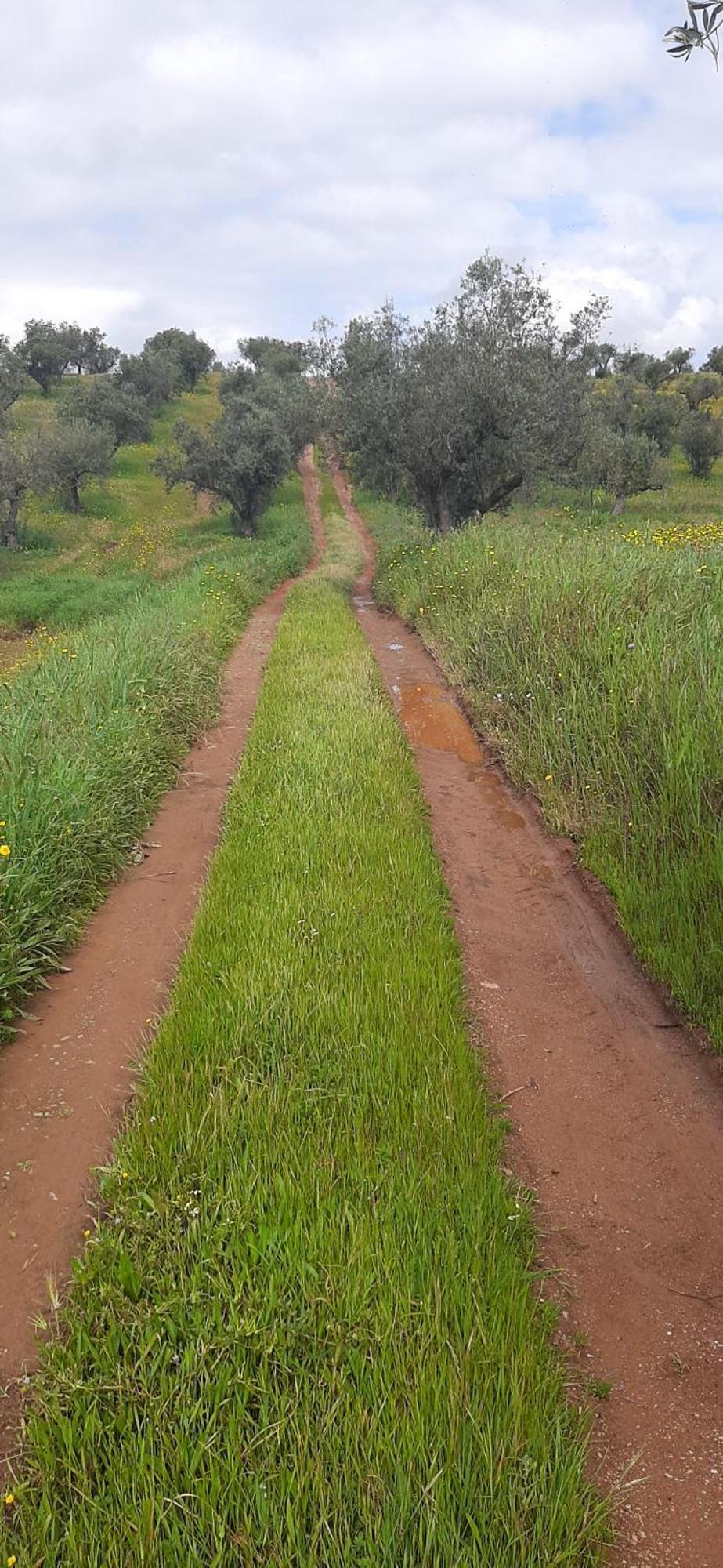 Отель Monte Da Luz Алкева Экстерьер фото